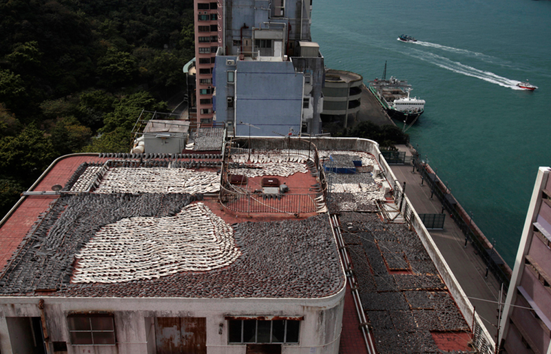Illustration for article titled Here Are Some Of The Strangest and Most Artistic Rooftops In The World